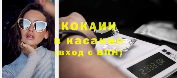твердый Арсеньев