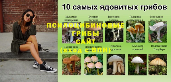 твердый Арсеньев