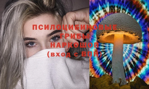 спиды Алзамай