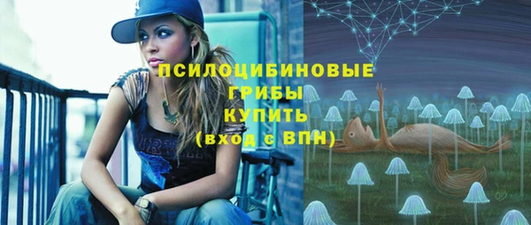 спиды Алзамай