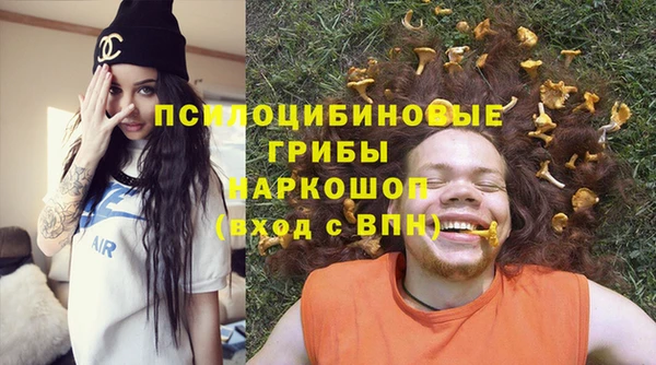 твердый Арсеньев