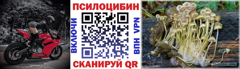 darknet какой сайт  Татарск  Псилоцибиновые грибы мухоморы 